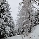بيت للعطل In St Michael Lavanttal 39497