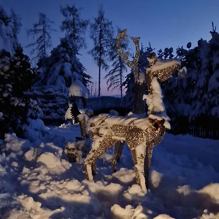 In St Michael Lavanttal 39497 Casa de Férias Witra