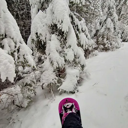 Casa de Férias In St Michael Lavanttal 39497 *