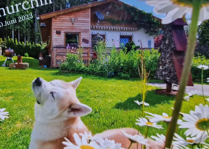 In St Michael Lavanttal 39497 Dom wakacyjny Witra