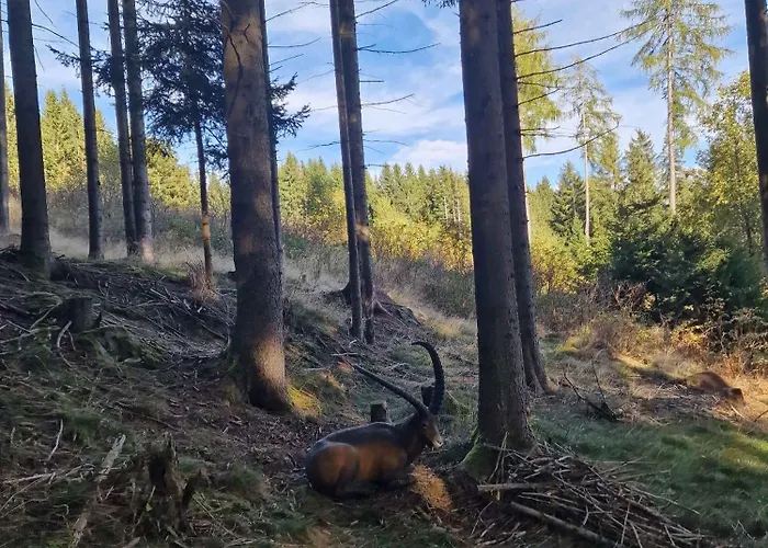 Dom wakacyjny In St Michael Lavanttal 39497 Witra