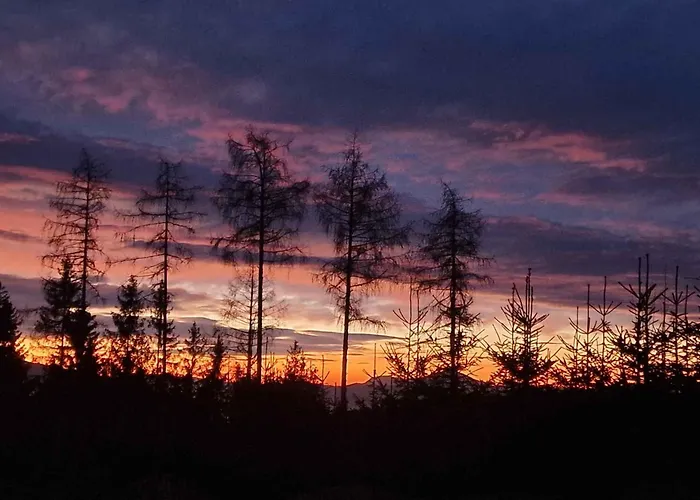 In St Michael Lavanttal 39497 Witra