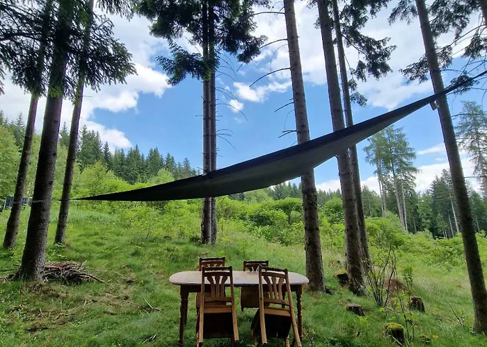 In St Michael Lavanttal 39497 *