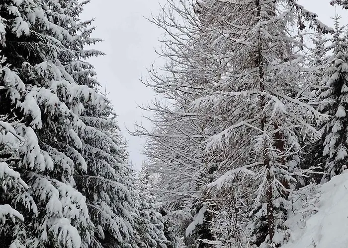 Dom wakacyjny In St Michael Lavanttal 39497